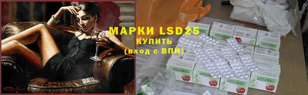 винт Богданович