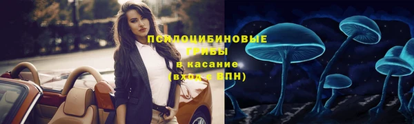 мдма Бородино