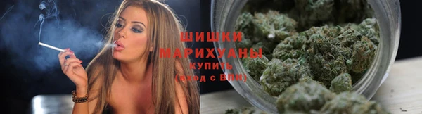 винт Богданович
