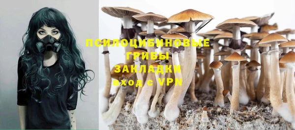 винт Богданович