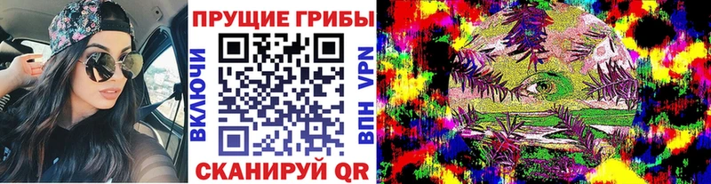 купить  цена  Мирный  Псилоцибиновые грибы Psilocybe 